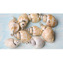 Natural Gilding Conch Shell Beads Pendants Charms for Jewelry Making Crafts