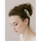 The Bride Of Beautiful Flowers Rhinestone Headwear Apparel Accessories