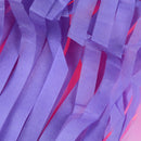 Beautiful  Theme Tassels Banner Girl's Birthday Party flags Decoration3C