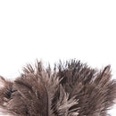 38cm Ostrich Feather Duster Brush Wood Handle Anti-static Natural Grey Fur LJ