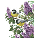DIY Needlework Print Cross Stitch Kit 14CT Stamped Canvas (DA387 Two Birds)