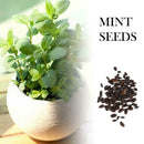 50 Pcs Mint AU HOT F4V5