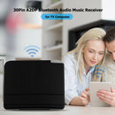 30Pin A2DP Bluetooth Audio Music Receiver Adapter for TV Computer (Black)