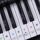 Keyboard Piano Multicolor Removable Piano and Keyboard Stickers for 49 61 76 N3C