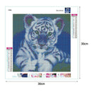 5D DIY Full Drill Square Diamond Painting Tiger Cross Stitch Embroidery Kit