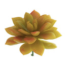 10Pcs Artificial Plastic Succulent Echeveria Flower DIY Microlandscape Decor