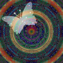 Diamond Painting Kits Butterfly Pattern Full Round Drill Picture Home Craft