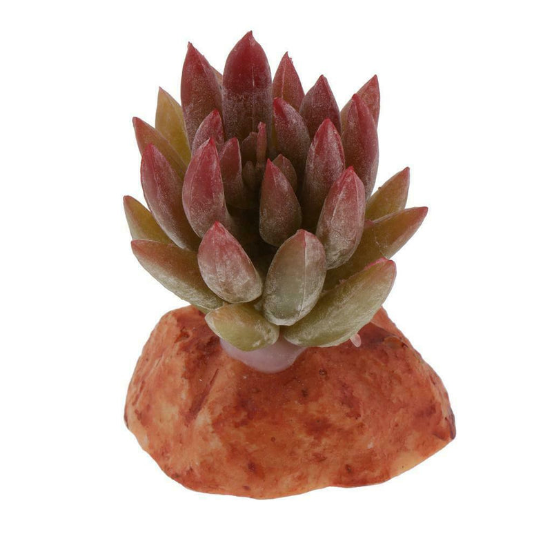 2PCS Aquarium Fish Tank Plants Succulents Reptile Hideaway Decoration - Reptile