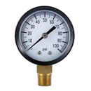 Ts-50-100Psi 1/4 Inch Well Pump Water Pressure Gauge Pressure Gauge