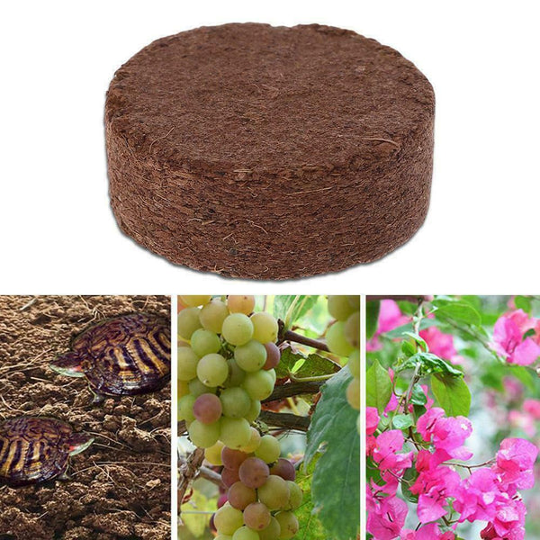 Natural Coconut Bricks Fiber Reptile Bedding Absorb Pet Maintain Waste Y9B1