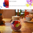 1X(Led RGB Dimmer Lamp Night Light Flower Bottle Creative Romantic Rose Bul