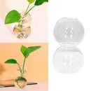 Glass Bubble Flower Vase Glass Planter Hydroponics Air Plant Bulb 2 Balls