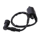 Motorcycle Ignition Coil for CG125CC CG150CC CG 125 150CC ATV Pit Dirt Bike