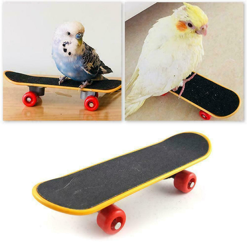 Pet Intelligence Foot PLUS Toys Training Skateboard Bird Perch Supplies Sta U6C8