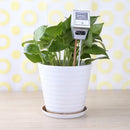 3in1 Digital Soil pH Meter Moisture Light Intensity Meter Plant Tester Analyzer
