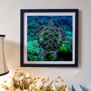 5D DIY Full Drill Diamond Painting Sea Turtle Embroidery Mosaic Craft Kit