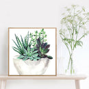 5D Diamond Painting Succulent Plant DIY Full Drill Cross Stitch Decor (375)