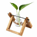 Wooden Stand Transparent Glass Plant Containers Standing Hydroponics Plant