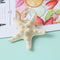 Fashion Lady Hair Clips Women Girls Starfish Sea Star Hairpins Beach Barrett Ew