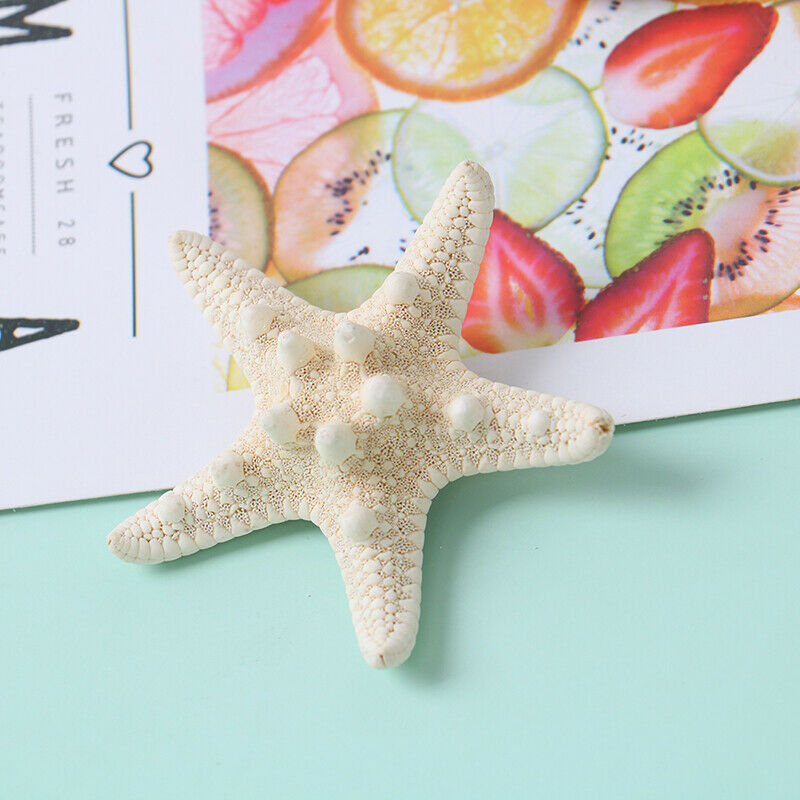 Fashion Lady Hair Clips Women Girls Starfish Sea Star Hairpins Beach Barrett Ew