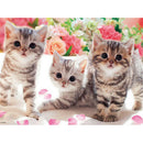 5D DIY Diamond Painting Full Drill Three Kittens Embroidery Animal Mosaic  A