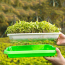 Seed Sprouter Tray Double-layer Soilless Culture Beans Hydroponic Nursery Tray