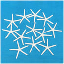 12pcs 10-12cm Beautiful White Finger Starfish Beach Wedding House Crafts De D2J2
