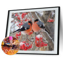5D DIY Round Drill Diamond Painting Bird Cross Stitch Embroidery Mosaic Kit