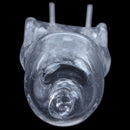 Halogen Bi-pin base G4 JC type of bulb 12V 20W.