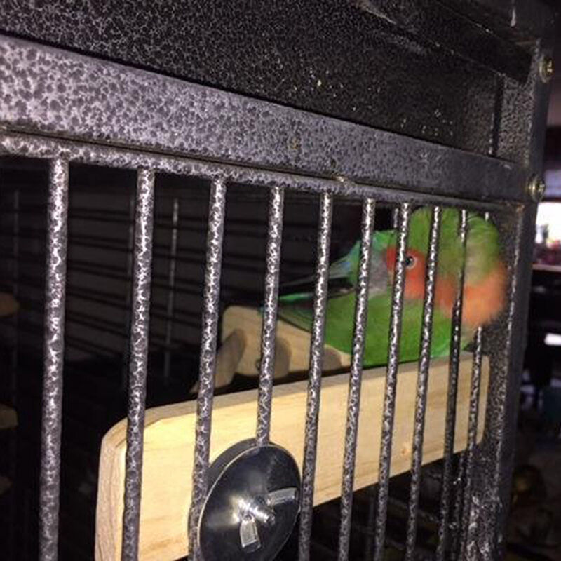 7'' Pet Parrot Supply Wood Corner Shelf Laddered Platform C For Birds Stand E3I4