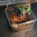 Aquarium Reptile Hatchery Breeding Box Turtle Lizard Spider Terrarium White