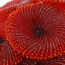 Artificial Aquarium Fish Tank Decoration Coral Sea Plant Ornament Silicone