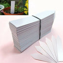 100 Pcs Reusable Pvc Plant Tag Label Tree Fruit Seedling Garden Flowerpot P