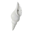 Ceramic Shell Conch Flower Vase Wall Hanging Decorative Flowerpot Decor