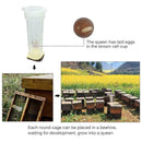 Queen Rearing Cupkit System Bee Beekeeping Catcher & 100 Cups Y6B6 Cell Box F7L7