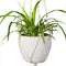 Macrame Plant Hanger 2Pcs Indoor Outdoor Wall Hanging Planter Basket - Cott