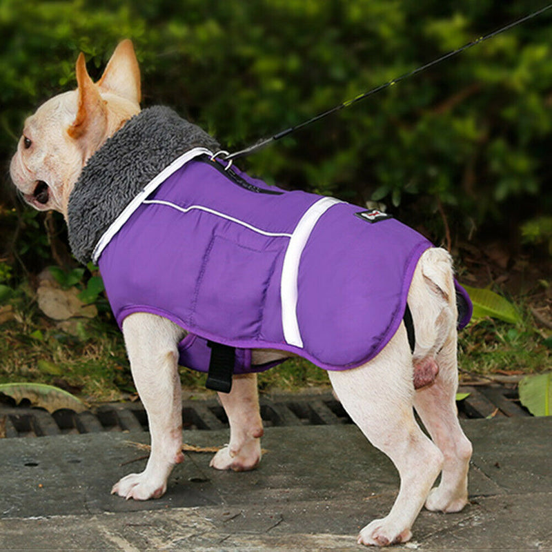 Pet Jacket Reflective Winter Warm Clothing Jacket Vest Waterproof Dog Cloth