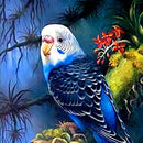DIY 5D Diamond Painting Kit Beautiful Bird Embroidery Cross Stitch Kit