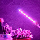 LED Plant Grow Light Full Spectrum Flower Growing Lamp Holder for Indoor Plants