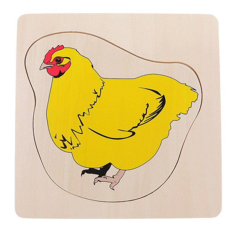 Montessori Materials The Evolution Process Of Hens For Kids Early Education