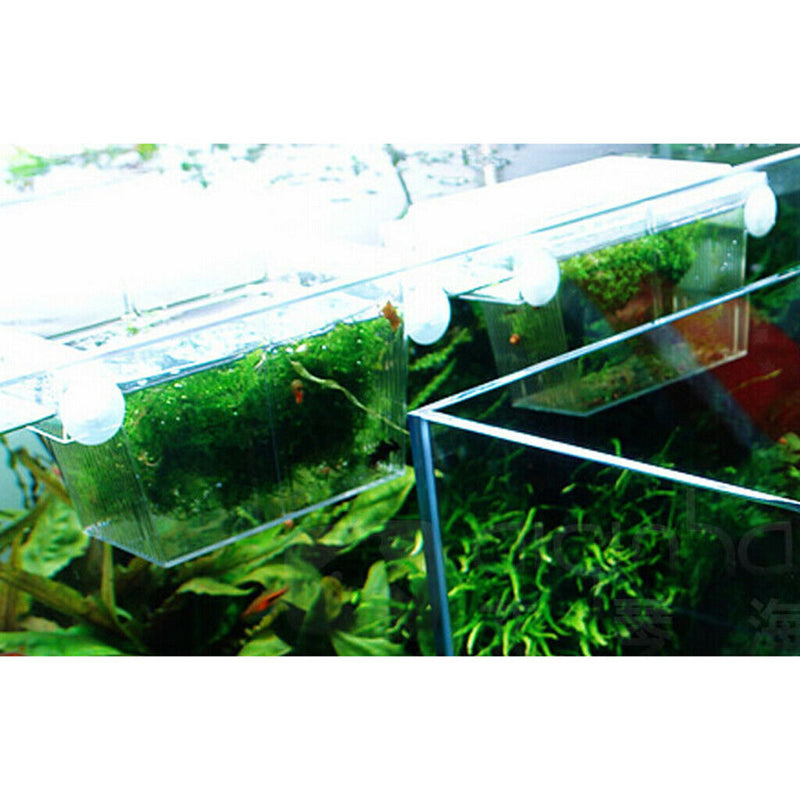 2 x Self-floating Fish Isolation Box Housing Injured or Aggressive Fry Fish