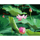 Painting By Numbers Kit DIY Lotus Digital Oil Canvas Art Picture Home Decor
