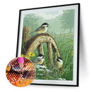 5D DIY Full Drill Diamond Painting Spiritual Bird Cross Stitch (B931)