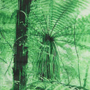 TaTropical Rain Forest Green Tapestry , Palm Trees And Exotic Plants in