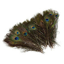 Pack of 50pc Natural Peacock Feathers 10-12''