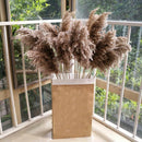 15Pcs/Set Natural Dried Pampas Grass Reed Home Wedding Flower Bunch Decor LY