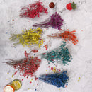 Garden Micro Landscape Accessories Dried Flowers Crystal Grass DIY Home DSEAU