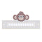 DIY Monkey Special Shaped Diamond Painting Luminous Parking Number Plate