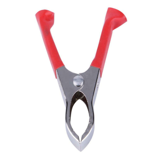 2Red+ 2Black 30A 75mm Nickel Coated Car Battery Test Clips Alligator Clamps A#S