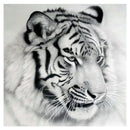 DIY 5D Diamond Embroidery Painting Cross Stitch Kit Animal Home Deco:Black